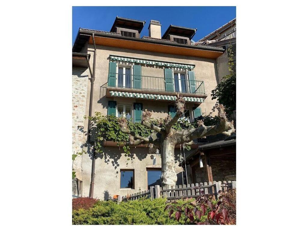 La Vigneronne, Uitzicht Op Het Meer Arlesheim Exterior photo