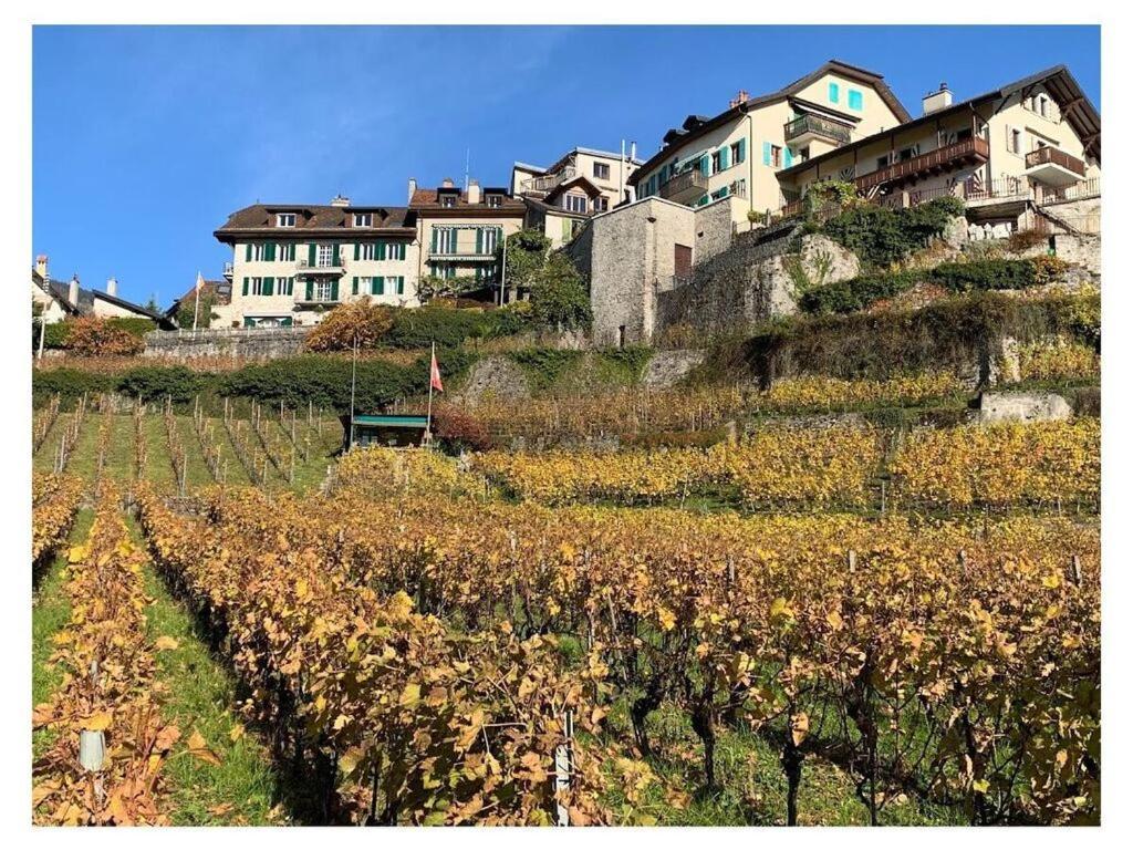 La Vigneronne, Uitzicht Op Het Meer Arlesheim Exterior photo